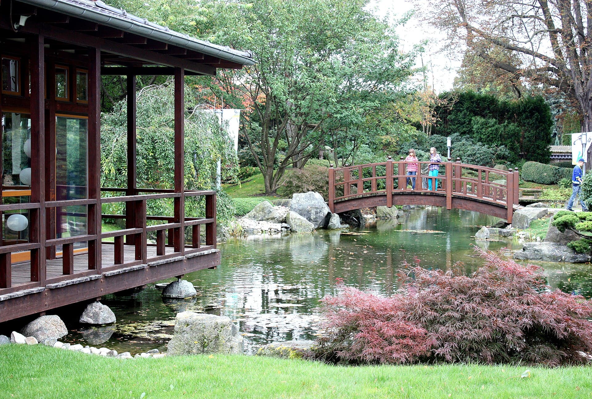Bassin de jardin avec terrasse bois, rocaille et érable — aménagement d'un point d'eau