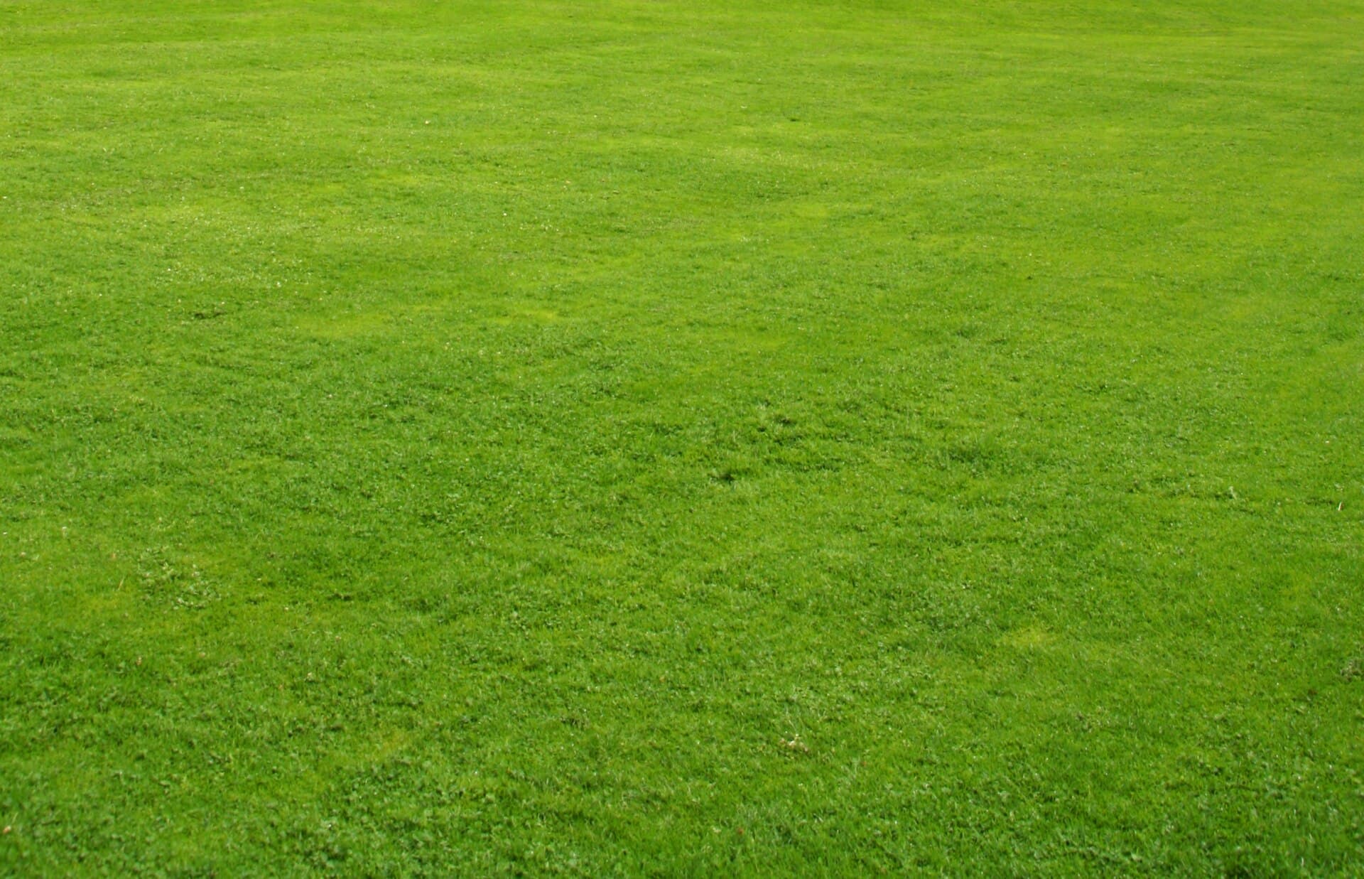Entretien des espaces verts d'une copropriété à Cergy