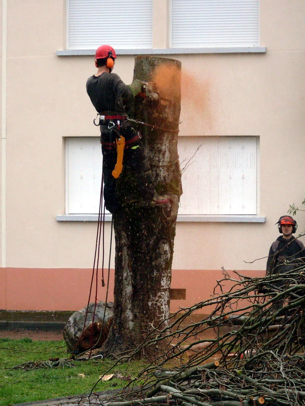 Jardin dégagé après démontage à Taverny