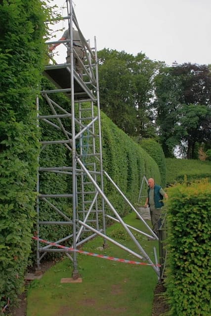 Taille de haie et entretien de jardin à Pontoise